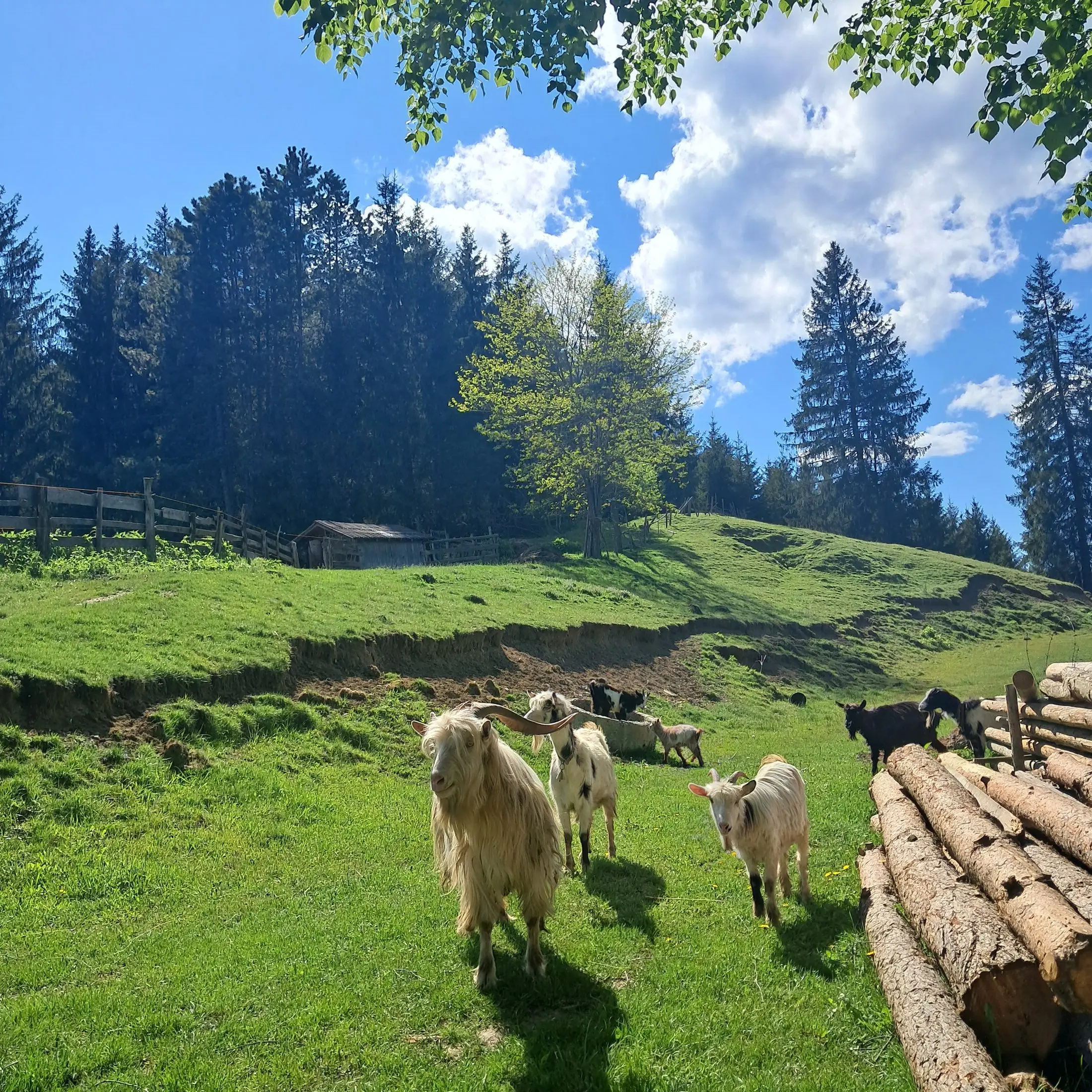 Peisaje din împrejurimi 12