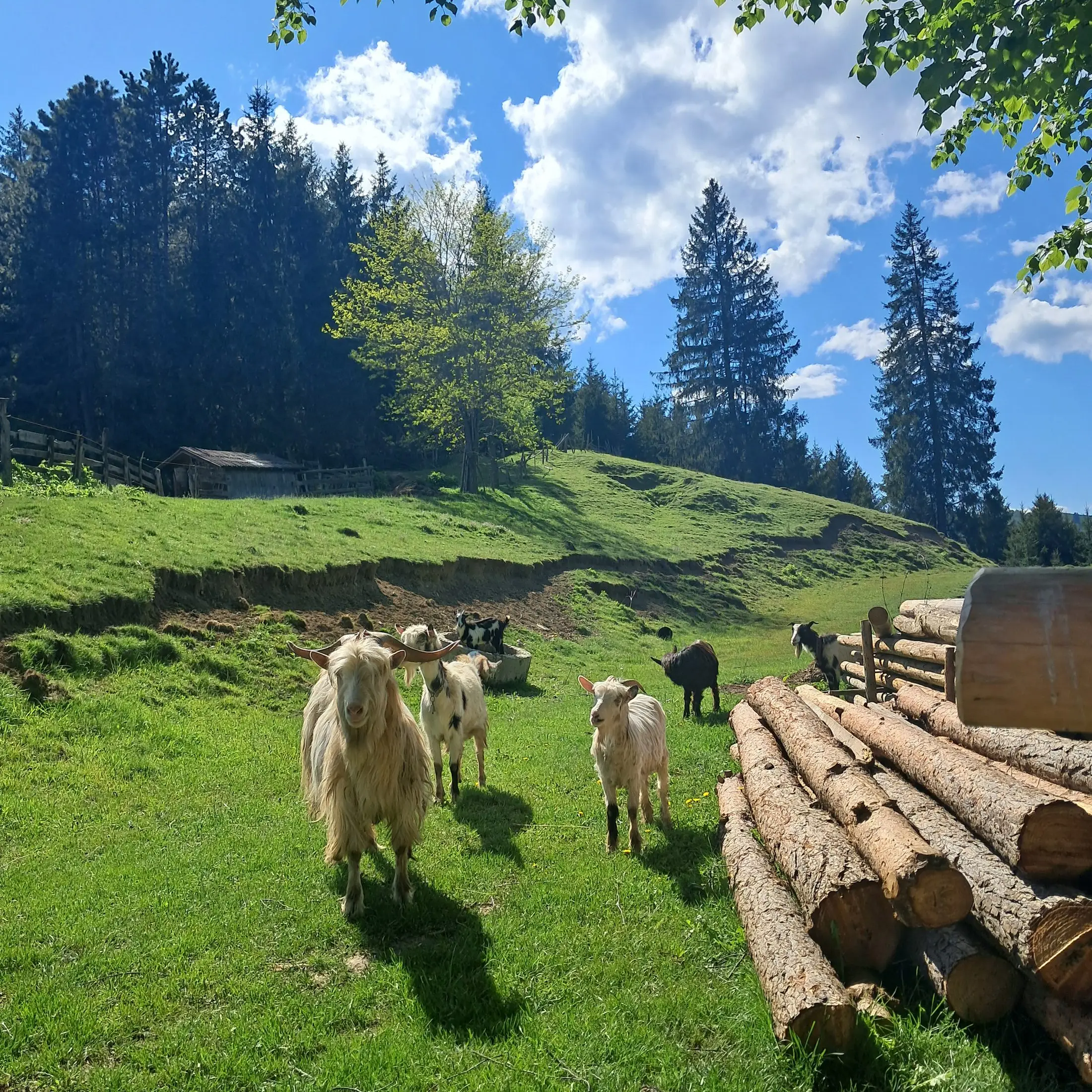 Peisaje din împrejurimi 13