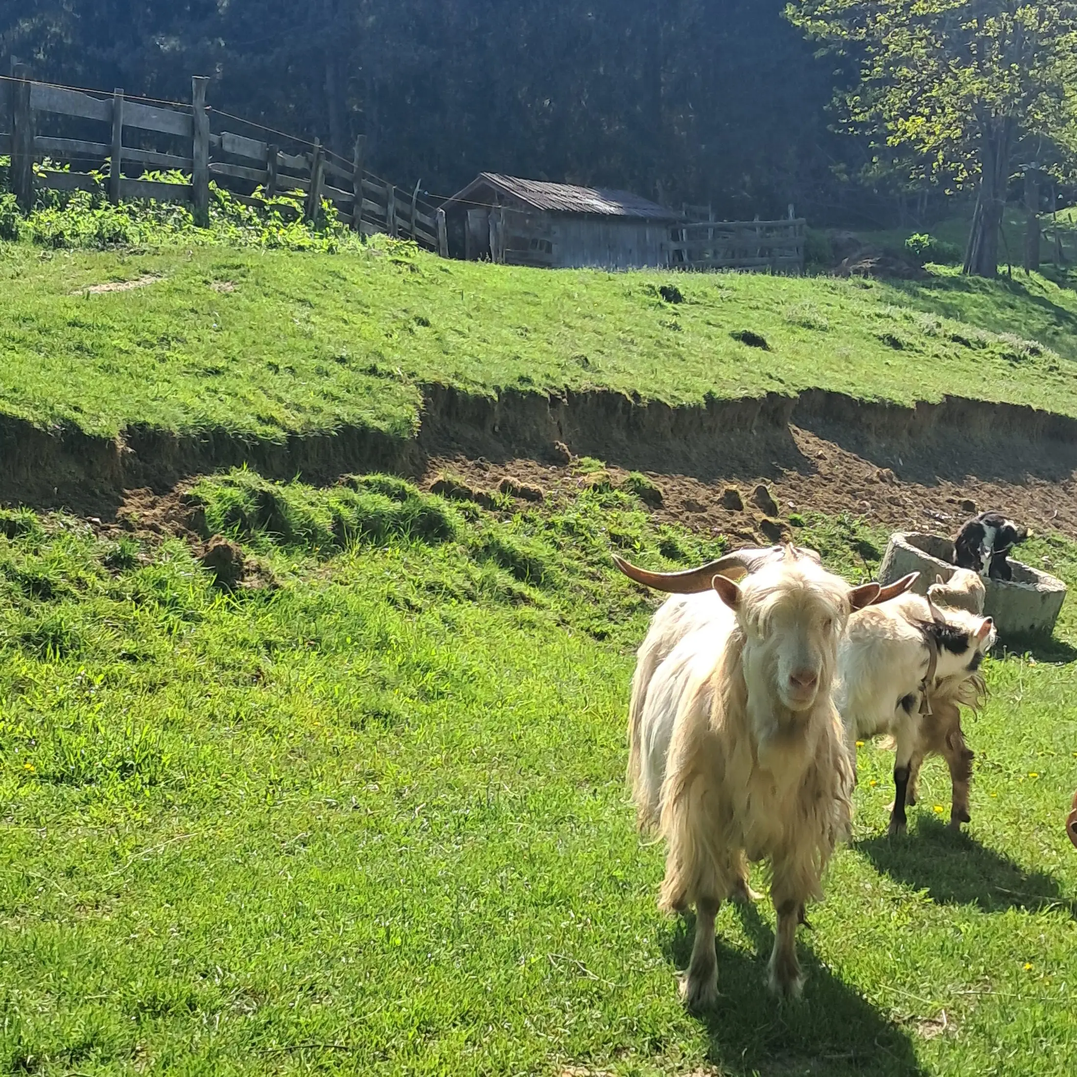Peisaje din împrejurimi 14
