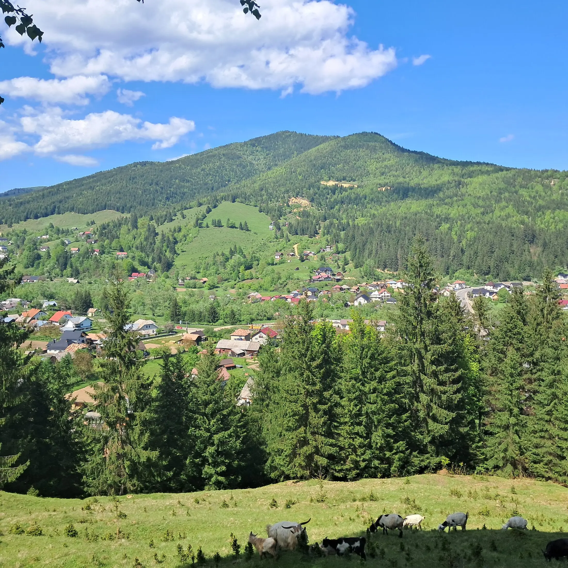 Peisaje din împrejurimi 15