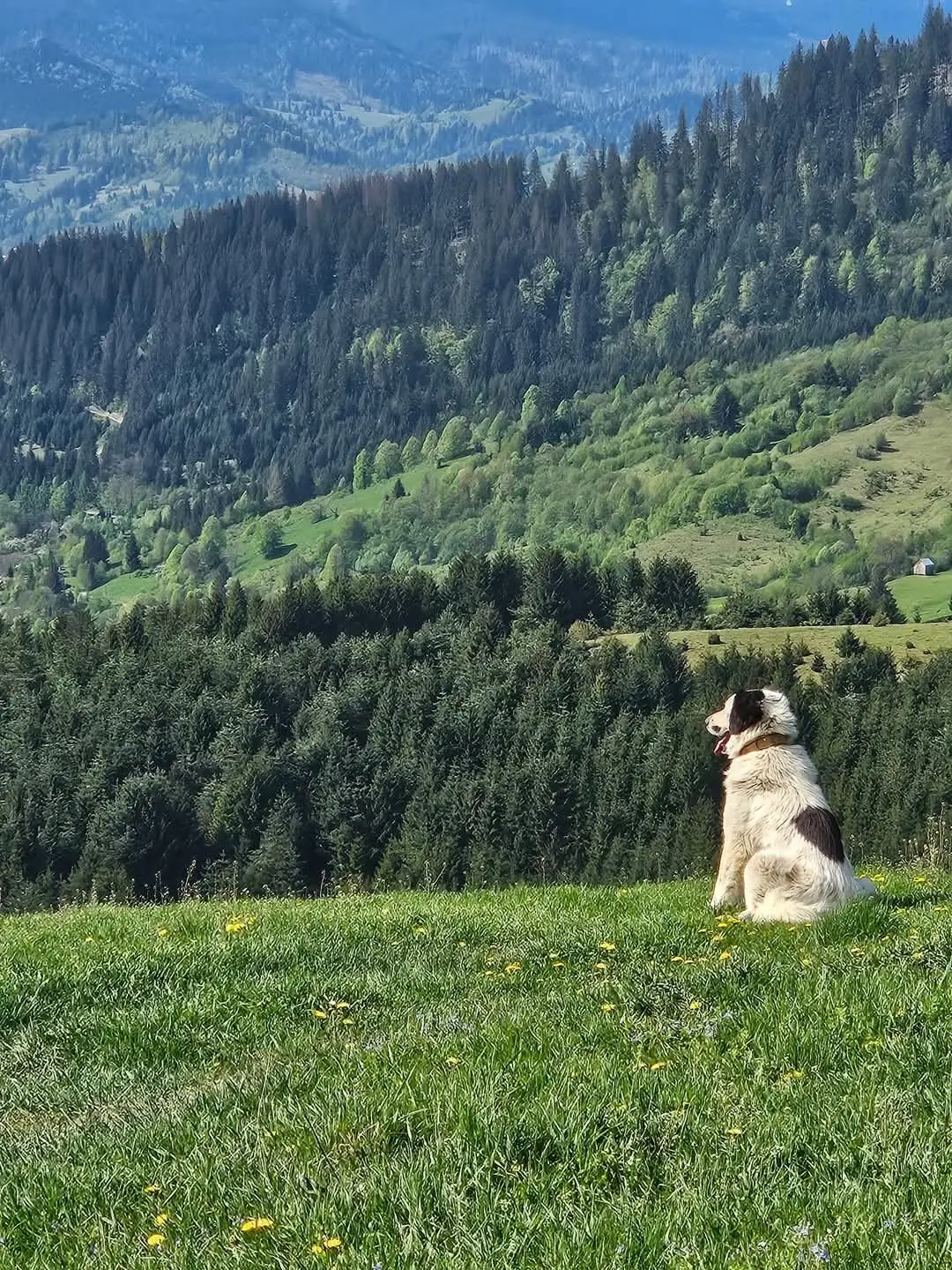 Peisaje din împrejurimi 16