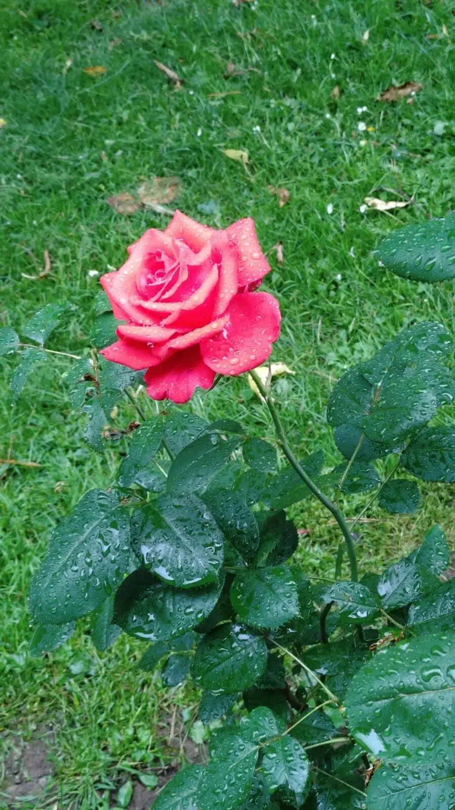 Peisaje din împrejurimi 8