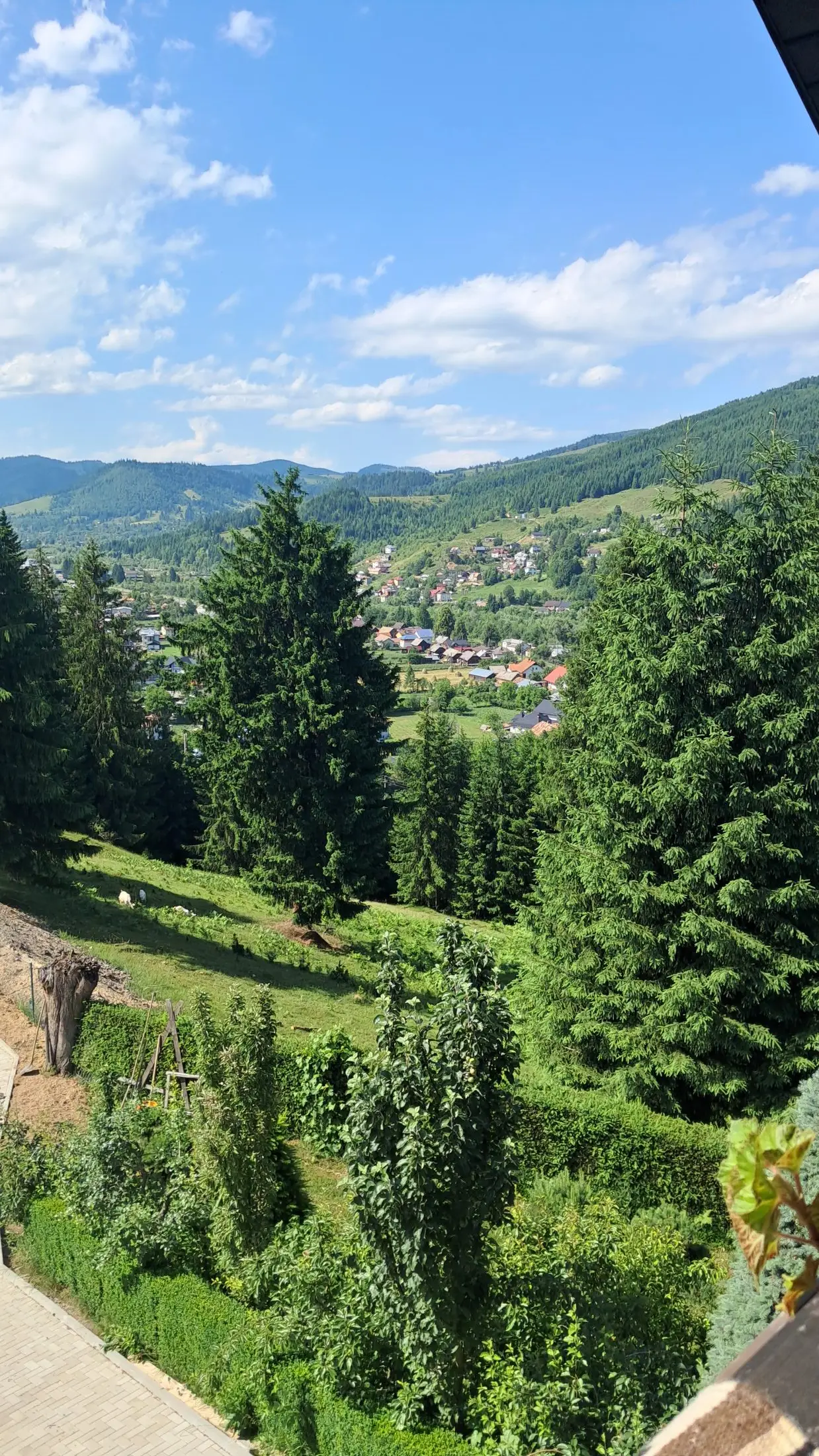 Peisaje din împrejurimi 9