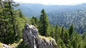 Nature and landscapes 2