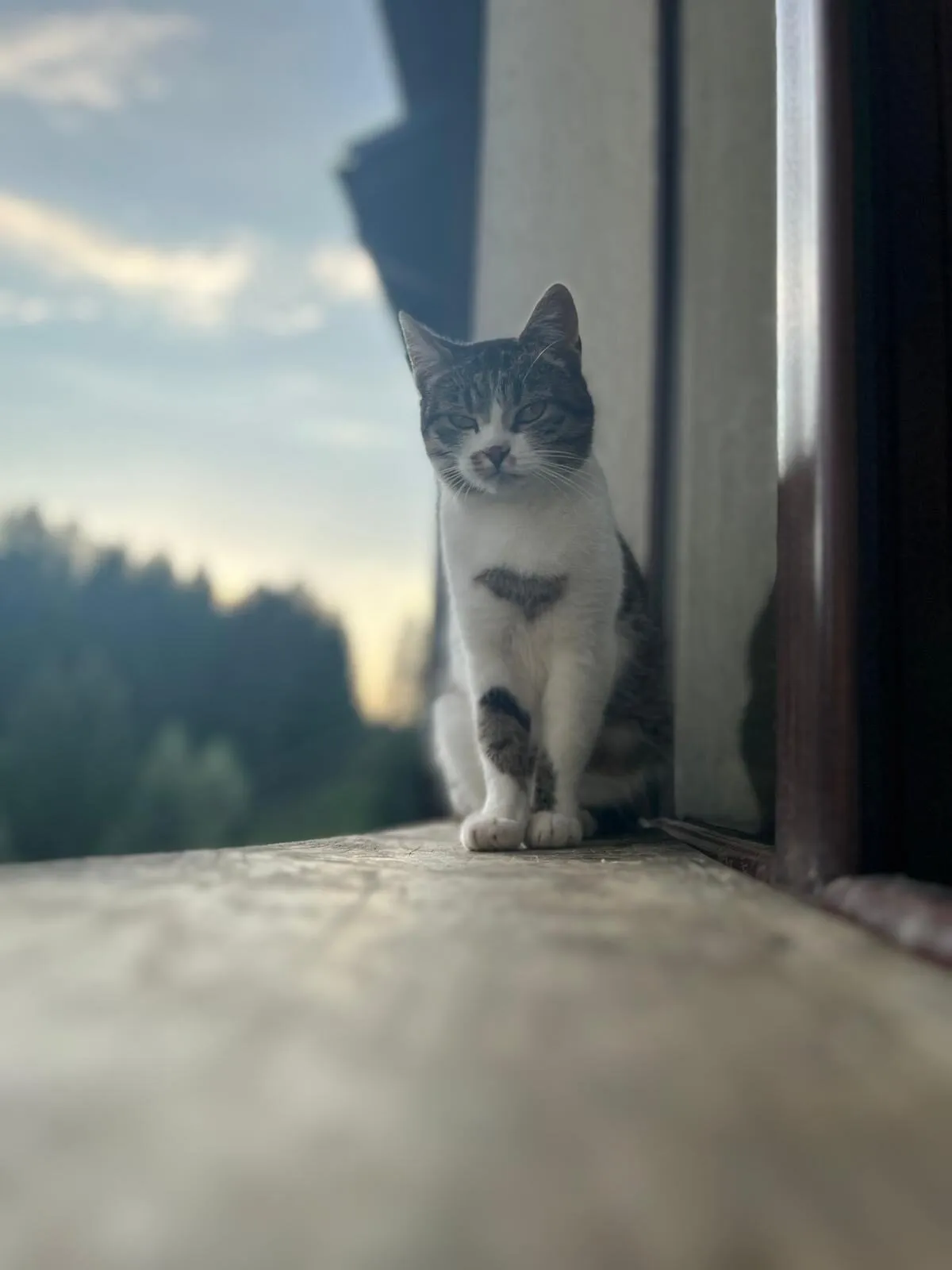 Furry tenants